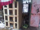 IMG_20130131_113259