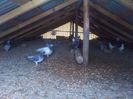 IMG_20130131_113556