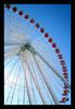 charmed_circle_by_epione