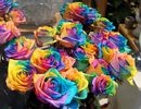 floare2