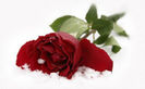 heartpic