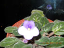 21.02.2013 004
