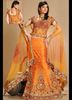 Superb-2010-Bridal-Lehenga-Design-4