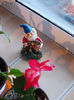 21-22 febr 2013-flori 042
