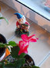 21-22 febr 2013-flori 043