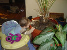 Picture 1205
