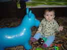 Picture 1251