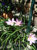 DSC06307