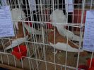 DSC00793