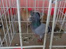 DSC00797