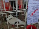 DSC00806