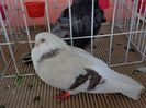 DSC00807