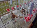 DSC00839