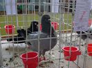 DSC00868
