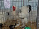 DSC00872