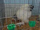 DSC00873