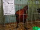 DSC00879