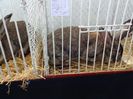 DSC00893