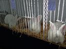 DSC00895