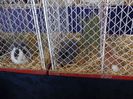 DSC00896