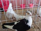 DSC00897
