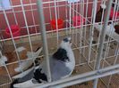 DSC00901
