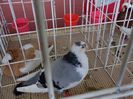 DSC00902