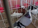 DSC00903