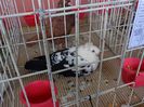 DSC00907