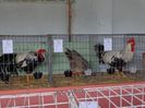 DSC00908