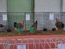 DSC00909