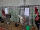 DSC00914