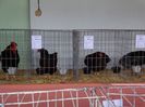DSC00917