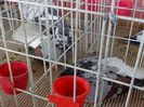DSC00928