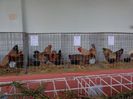 DSC00933