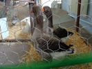 DSC00940