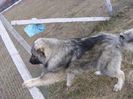 Picture 3258