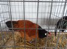SAM_3047
