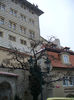P1170305