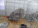 SAM_3156