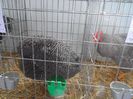 SAM_3157