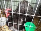 SAM_3171