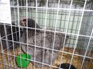 SAM_3172