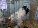 SAM_3247