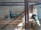 SAM_3257