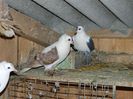 DSCN0566