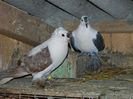 DSCN0567