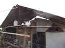 DSCN0017