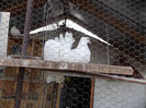 DSCN0020