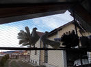 DSCN0036